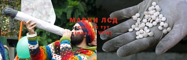эйфоретик Баксан