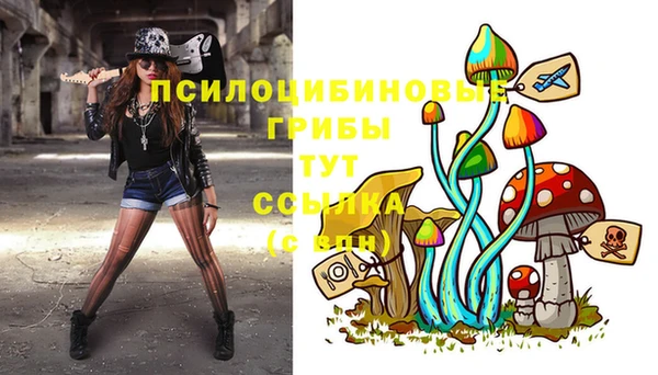 шишки Балахна