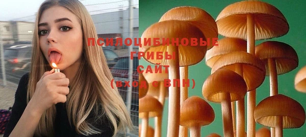 шишки Балахна