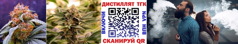 закладки  Озёры  ТГК Wax 
